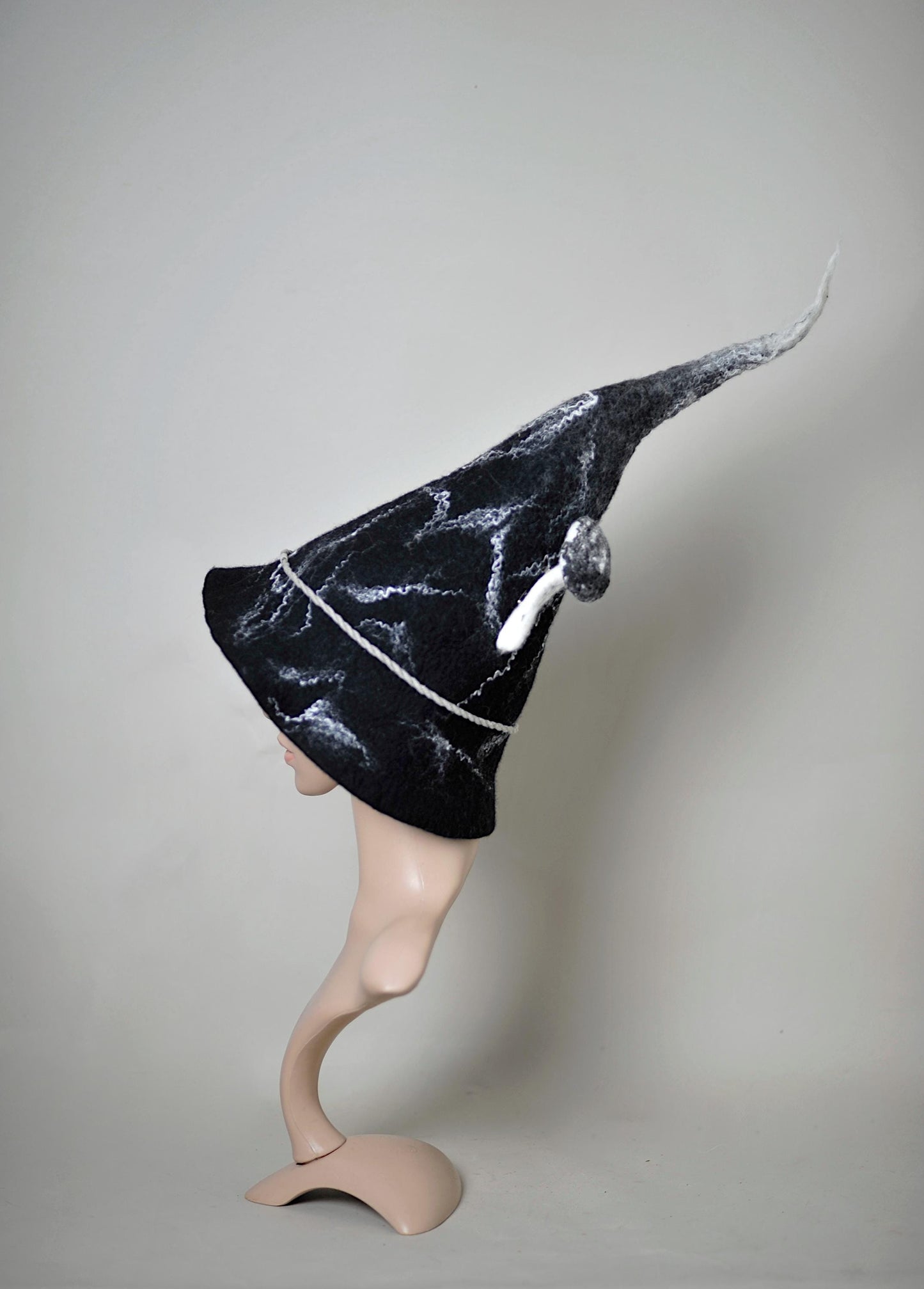 witch wizard hat with mushrom