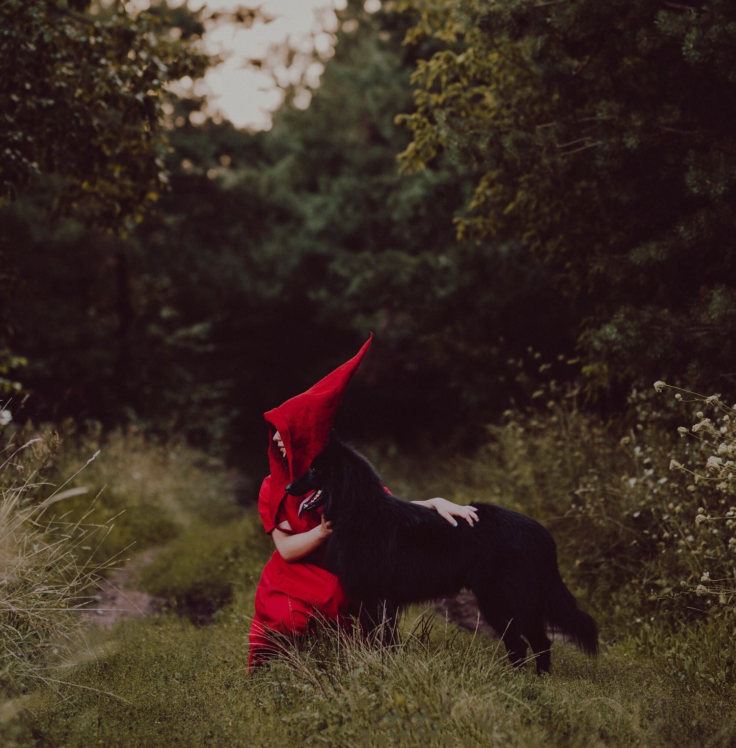 Red Gnome Hood