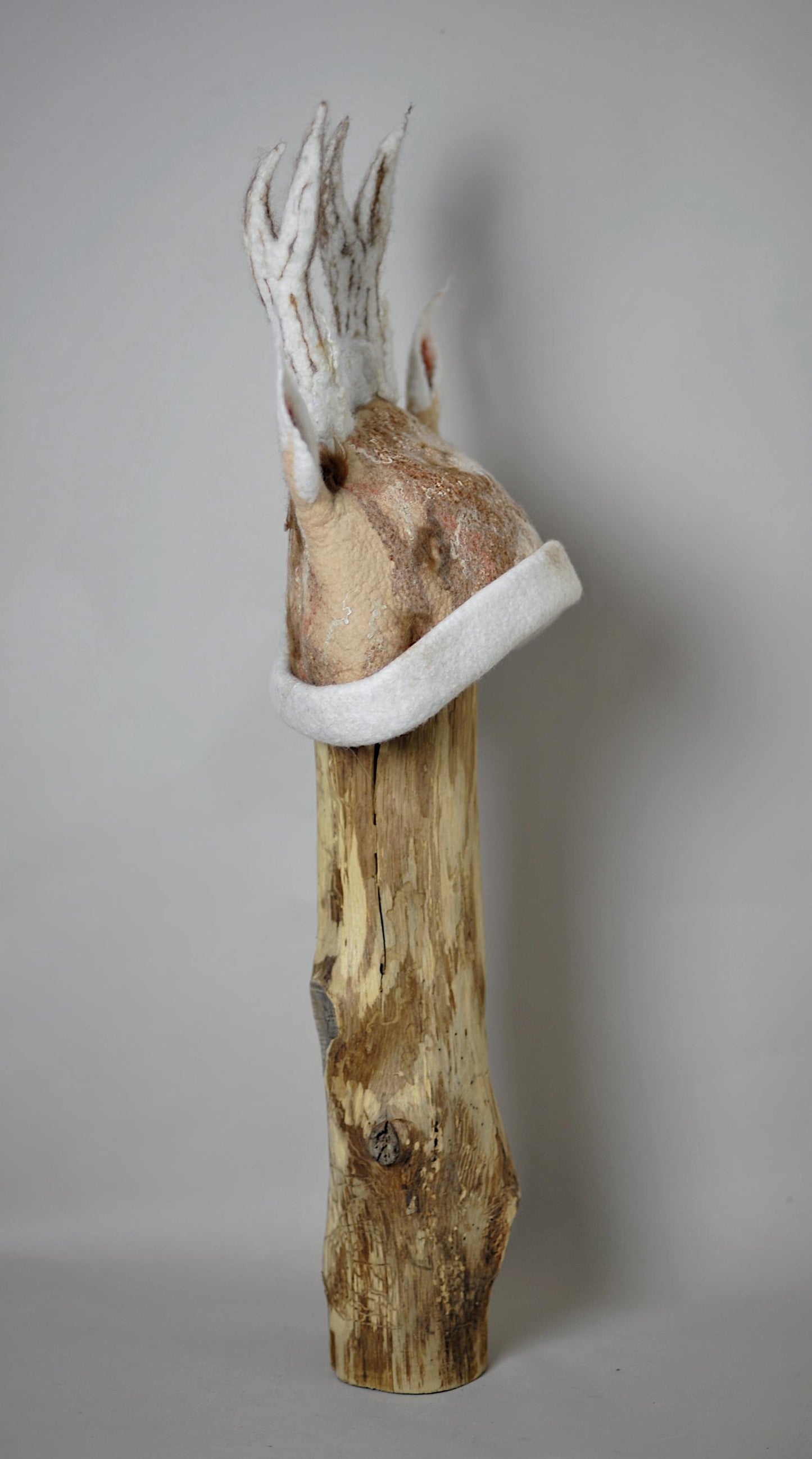 Hand-Felted Deer Antler Hat