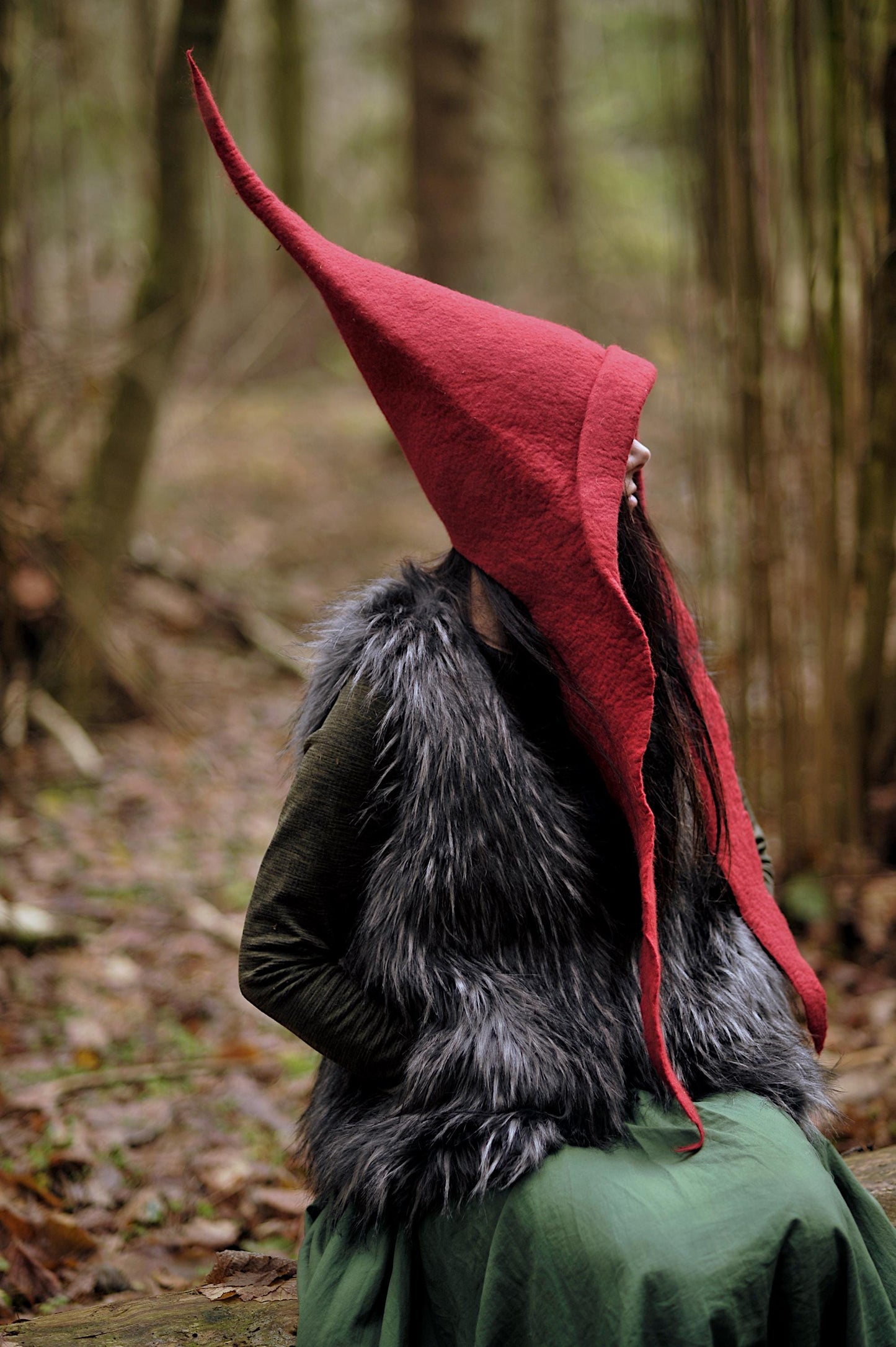 Red Gnome Hood