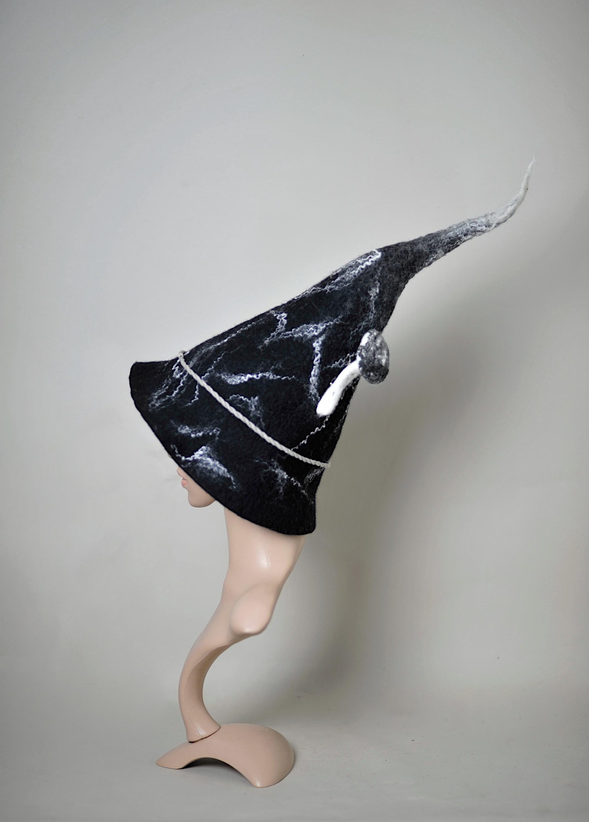 witch wizard hat with mushrom